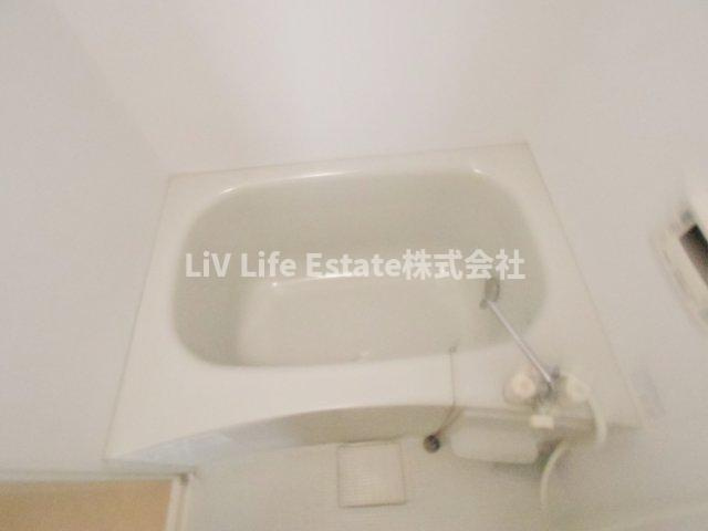 ライネスハイム・ノイの浴室