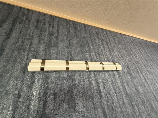 シルバ―ドルフィンのその他