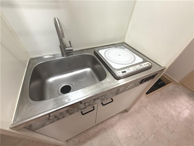 シルバ―ドルフィンのキッチン