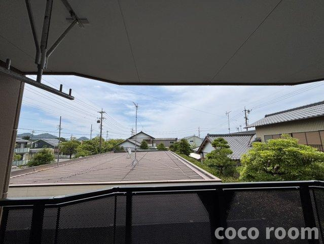 エクセル・アカシアの展望