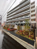 ディームス根岸の画像