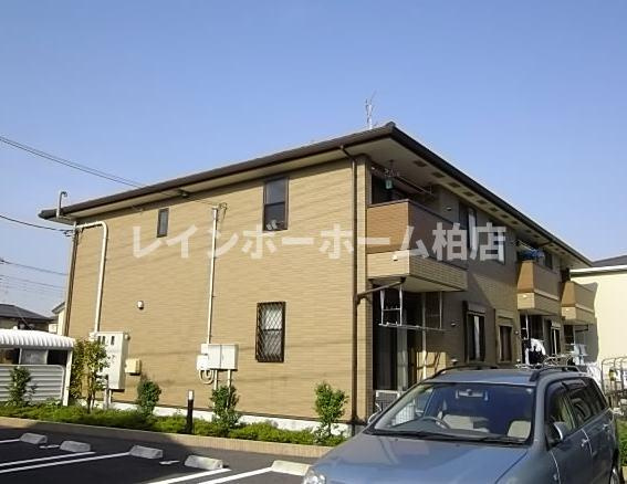 仲介手数料（賃料の1.10ヵ月）の50％OFF対象物件！