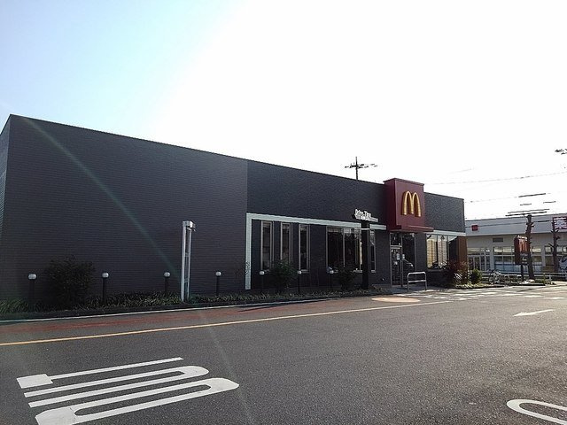 カーサ・フェリーチェの周辺|マクドナルド東越谷店まで290m
