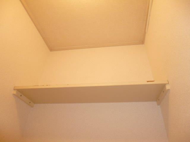 ドミール大熊のトイレ|トイレ棚