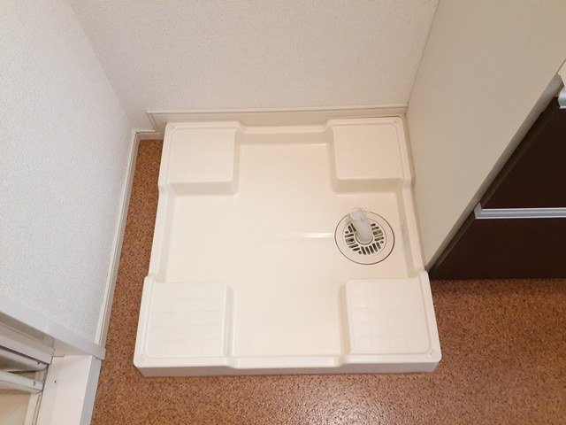 グリーン　パロットのその他