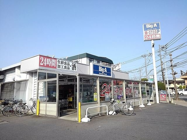 グリーン　パロットの周辺|ビッグ・エー東越谷店まで300m
