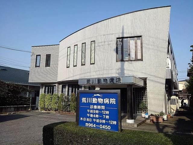 グリーン　パロットの周辺|荒川動物病院まで400m