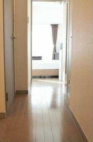 日神パレステージ西池袋の内装