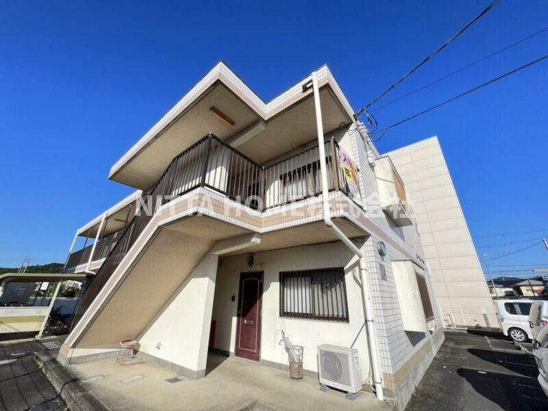 ユーミー青野