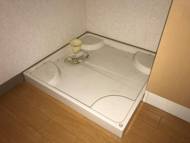 サニーヒルズ　Ｍの設備|洗濯機置き場