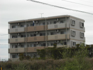 Ｓ・ＡＳＡＧＩＲＩの画像