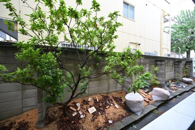 【展望】 | サカエフラット元住吉