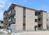 F asecia bruciteの画像