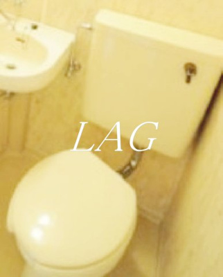 【トイレ】 | ハイネス丸友 | トイレです。