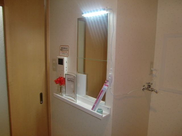 ロジェ楠丘の洗面所