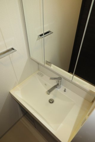 エステムコートディアシティWESTの洗面所