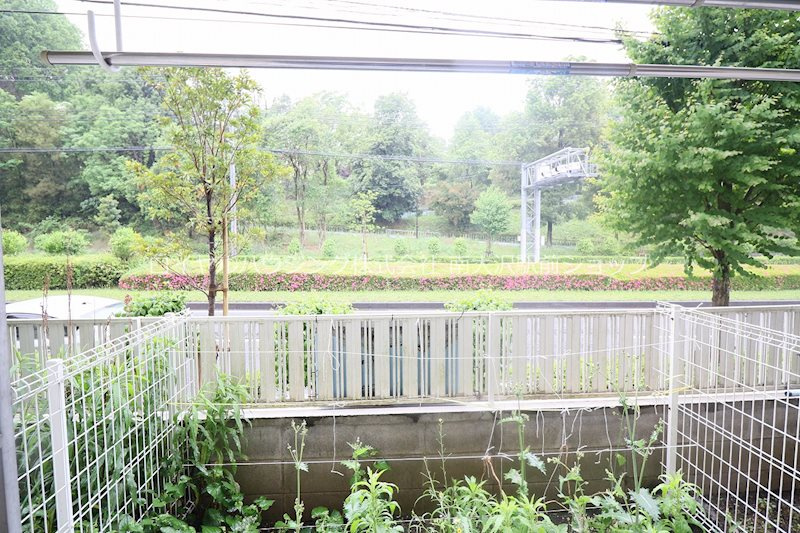 道路向かいは緑豊かな自然です！
