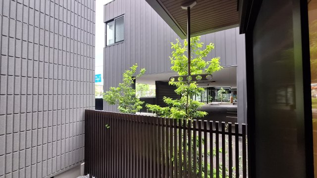 Ｍａｉｓｏｎ　Ｃａｍｅｌｉａの展望