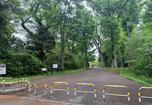 葛飾区東水元６丁目の戸建の周辺