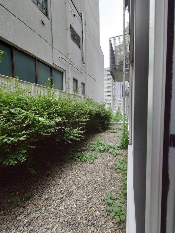 【展望】