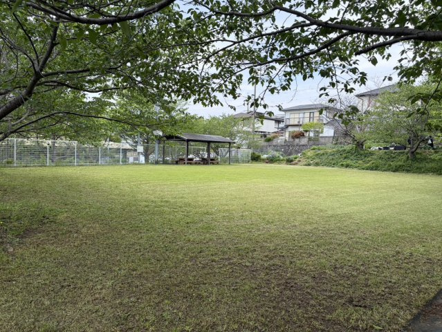 和歌山市磯ノ浦の周辺