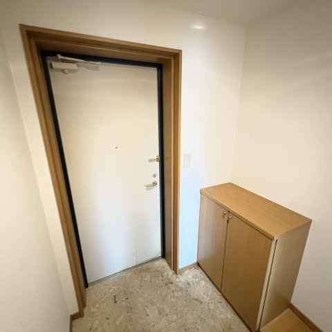 ランディックアイリの玄関