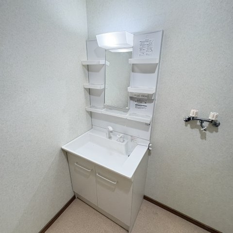 ランディックアイリの洗面所