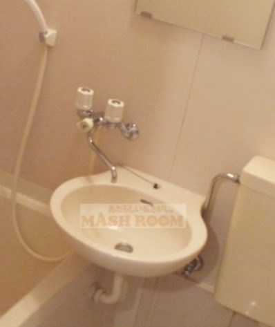 メゾン・ミネⅡの洗面所