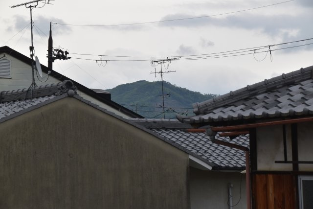 下鴨神社近く 庭に抱かれる、ゆとりの邸宅の展望