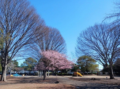 【周辺】 | エルディム花崎 | 米之宮公園まで260m