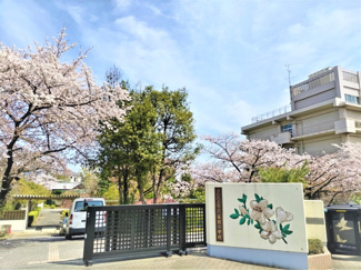 善前小学校まで500ｍ