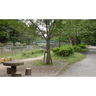 【周辺】 | 吉祥寺六番館 | 公園「善福寺二丁目緑地まで574ｍ」
