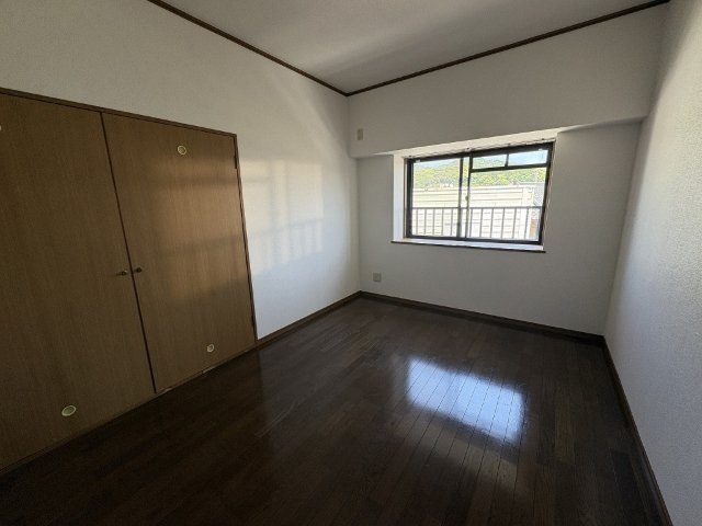 ケンシンビルのその他