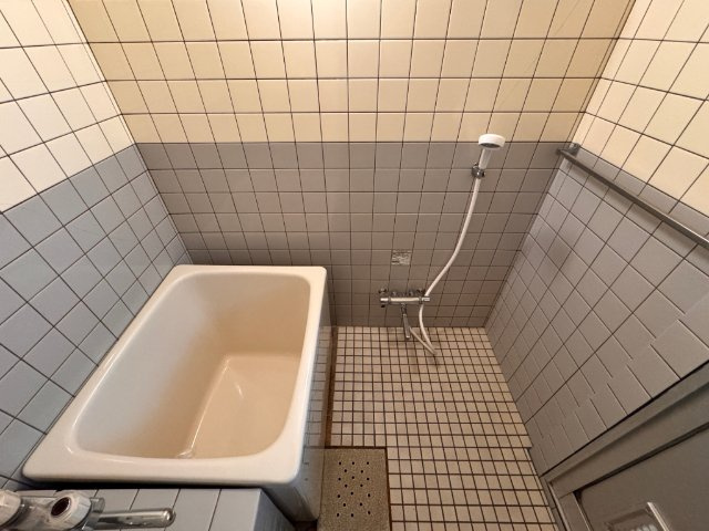泉水田ハイツの浴室
