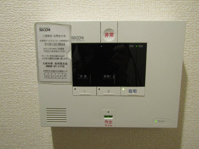 ハーデンベルギアのその他