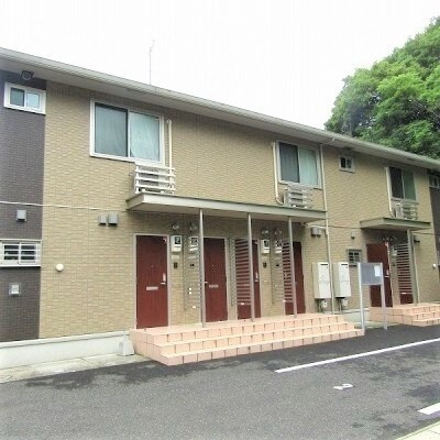 ハーデンベルギアの外観