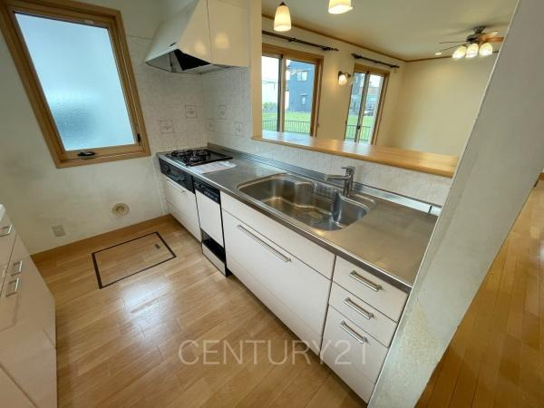 前橋市箱田町中古のキッチン|シャワーヘッドは引き出し可能、シンクの隅々まで洗い流せます。