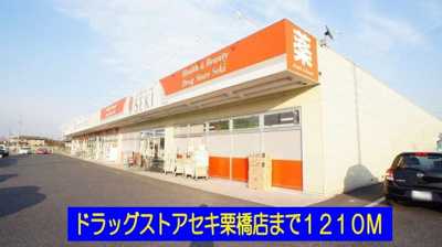 【周辺】 | プラシードⅡ番館 | ドラッグストアセキ栗橋店まで1210m