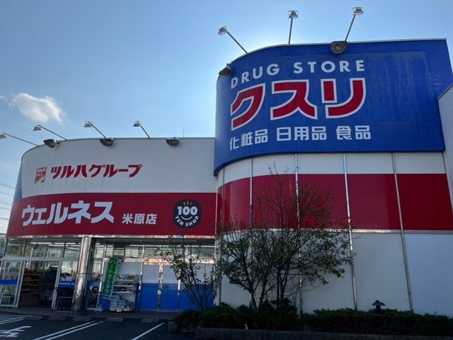 ソラリスガーデンの周辺|ウェルネス米原店まで700m