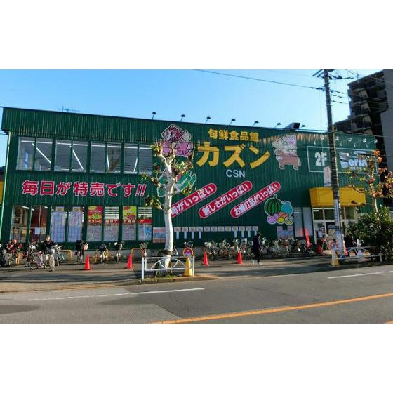 パレドール・タケダの周辺|スーパー「旬鮮食品館カズン亀戸店まで171ｍ」旬鮮食品館カズン亀戸店