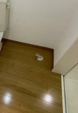 横浜市保土ケ谷区峰岡町３丁目のアパートの設備