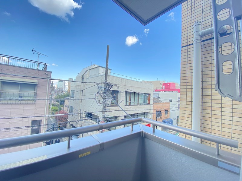 エクセルカーナの展望