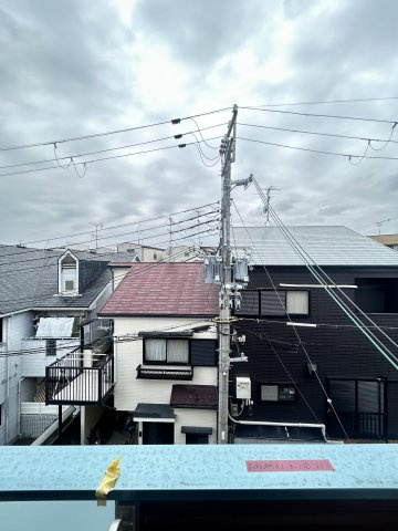 F asecia bruciteの展望