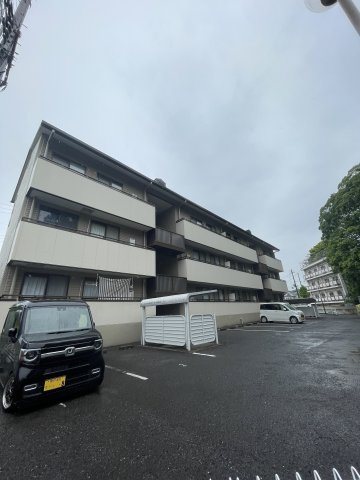 グリシーヌ
