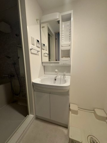 S-RESIDENCE南堀江の洗面所