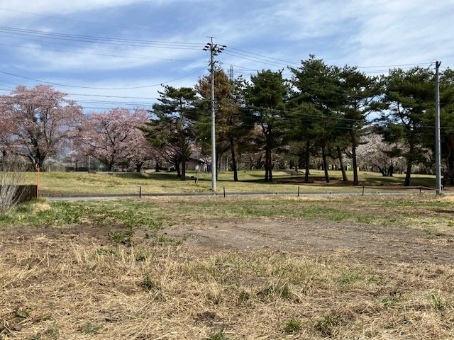 御代田 雪窓公園南 売土地の前面道路含む現地写真