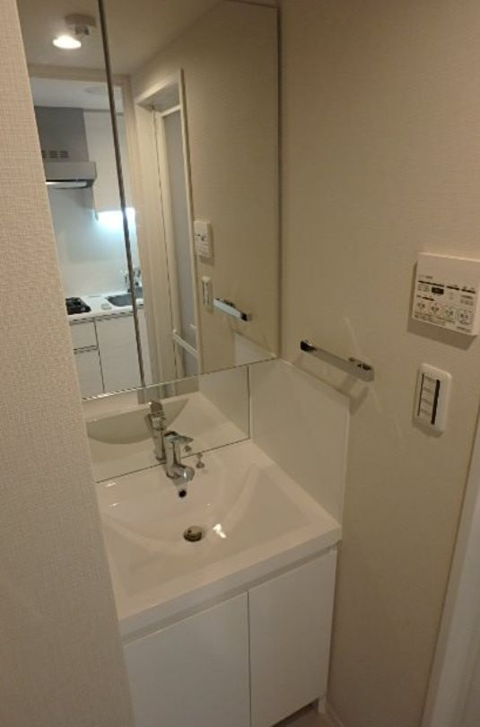 AXAS錦糸町の洗面所