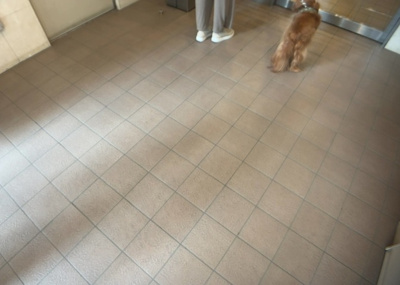 【その他共用部分】 | ライオンズマンション八王子第７ | 共用部分は、一棟の建物に住む区分所有者全員が共同で所有するとし、共用部分の管理、補修などは、区分所有者で形成される管理組合が行います。個人の判断で勝手に変更することはできませんので覚えておきましょう。