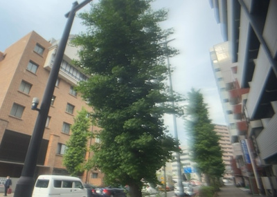 【展望】 | ステージグランデ八王子Ⅱ | 眺望を気にして物件を探す場合、前面に建物が建っていないか現地で確認しましょう！前面に建物があると景色はもちろん、日当たりや風通しにも影響が出てきます。住んだ時のことを想像しながら現地見学をしましょう。