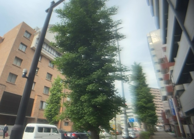 【展望】 | ステージグランデ八王子Ⅱ | 眺望を気にして物件を探す場合、前面に建物が建っていないか現地で確認しましょう！前面に建物があると景色はもちろん、日当たりや風通しにも影響が出てきます。住んだ時のことを想像しながら現地見学をしましょう。